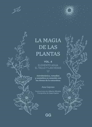 LA MAGIA DE LAS PLANTAS VOL.4 | 9788425235641 | GAYOSO, ANA | Galatea Llibres | Librería online de Reus, Tarragona | Comprar libros en catalán y castellano online