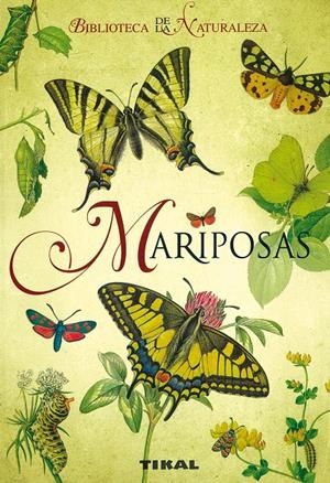 MARIPOSAS | 9788492678037 | NOVAR, IVO | Galatea Llibres | Llibreria online de Reus, Tarragona | Comprar llibres en català i castellà online