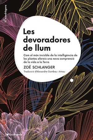 LES DEVORADORES DE LLUM | 9788413564821 | SCHLANGER, ZOË | Galatea Llibres | Llibreria online de Reus, Tarragona | Comprar llibres en català i castellà online