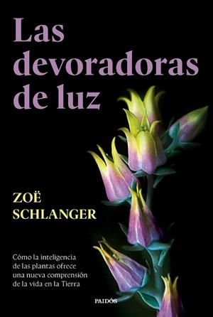 LAS DEVORADORAS DE LUZ | 9788449343742 | SCHLANGER, ZOË | Galatea Llibres | Llibreria online de Reus, Tarragona | Comprar llibres en català i castellà online