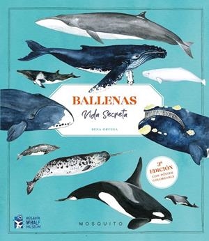 BALLENAS. VIDA SECRETA (3ª EDICIÓN CON PÓSTER COLOREABLE) | 9788410417151 | ORTEGA, RENA | Galatea Llibres | Llibreria online de Reus, Tarragona | Comprar llibres en català i castellà online