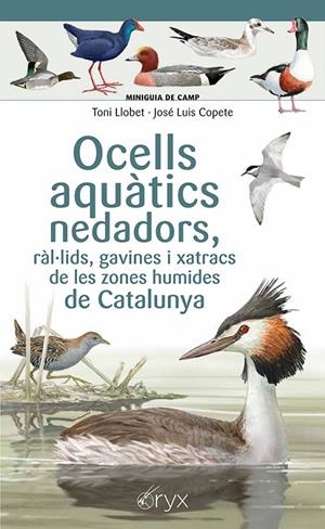 OCELLS AQUÀTICS NEDADORS, RÀL·LIDS, GAVINES I XATRACS DE LES ZONES HUMIDES DE CATALUNYA | 9788413564883 | COPETE, JOSÉ LUIS | Galatea Llibres | Librería online de Reus, Tarragona | Comprar libros en catalán y castellano online