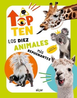 TOP TEN LOS DIEZ ANIMALES MÁS REPUGNANTES | 9788491427735 | BANFI, CRISTINA | Galatea Llibres | Llibreria online de Reus, Tarragona | Comprar llibres en català i castellà online