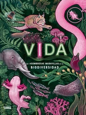 VIDA | 9786075840338 | N.R. SMITH, JENNIFER | Galatea Llibres | Librería online de Reus, Tarragona | Comprar libros en catalán y castellano online