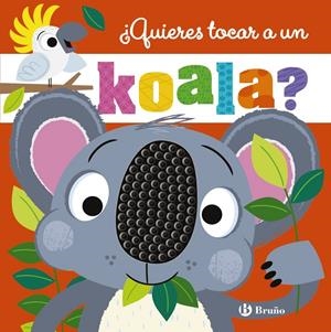 QUIERES TOCAR A UN KOALA? | 9788469644072 | GREENING, ROSIE | Galatea Llibres | Llibreria online de Reus, Tarragona | Comprar llibres en català i castellà online