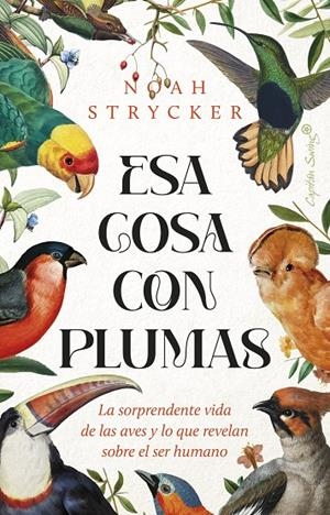 ESA COSA CON PLUMAS | 9788412953114 | STRYCK, NOAH KEEFER | Galatea Llibres | Librería online de Reus, Tarragona | Comprar libros en catalán y castellano online