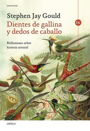 DIENTES DE GALLINA Y DEDOS DE CABALLO | 9788491997849 | GOULD, STEPHEN JAY | Galatea Llibres | Llibreria online de Reus, Tarragona | Comprar llibres en català i castellà online