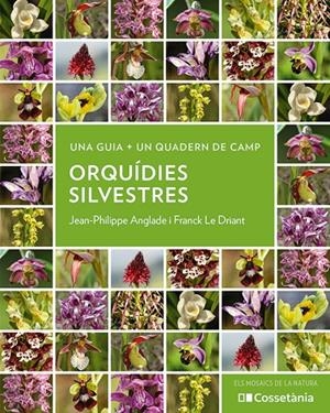 ORQUÍDIES SILVESTRES | 9788413564920 | ANGLADE, JEAN-PHILIPPE / LE DRIANT, FRANCK | Galatea Llibres | Librería online de Reus, Tarragona | Comprar libros en catalán y castellano online