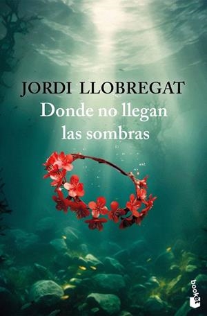 DONDE NO LLEGAN LAS SOMBRAS | 9788423367986 | LLOBREGAT, JORDI | Galatea Llibres | Llibreria online de Reus, Tarragona | Comprar llibres en català i castellà online