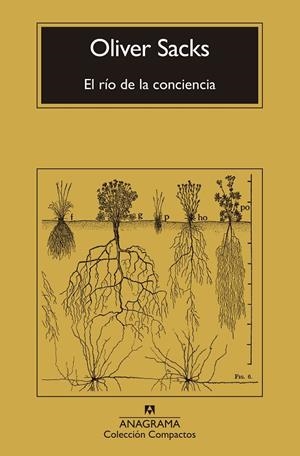 EL RÍO DE LA CONCIENCIA | 9788433946867 | SACKS, OLIVER | Galatea Llibres | Llibreria online de Reus, Tarragona | Comprar llibres en català i castellà online
