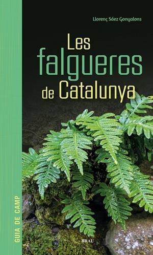 LES FALGUERES DE CATALUNYA | 9791387701017 | SÁEZ GONYALONS, LLORENÇ | Galatea Llibres | Llibreria online de Reus, Tarragona | Comprar llibres en català i castellà online