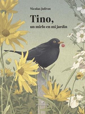 TINO, UN MIRLO EN MI JARDÍN | 9791387597160 | JOLIVOT, NICOLAS | Galatea Llibres | Llibreria online de Reus, Tarragona | Comprar llibres en català i castellà online