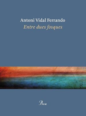 ENTRE DUES FOSQUES | 9788410488434 | VIDAL FERRANDO, ANTONI | Galatea Llibres | Librería online de Reus, Tarragona | Comprar libros en catalán y castellano online