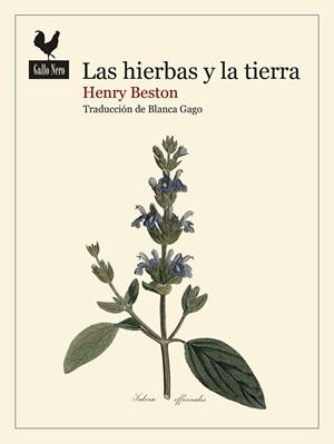 LAS HIERBAS Y LA TIERRA | 9788419168740 | BESTON, HENRY | Galatea Llibres | Librería online de Reus, Tarragona | Comprar libros en catalán y castellano online