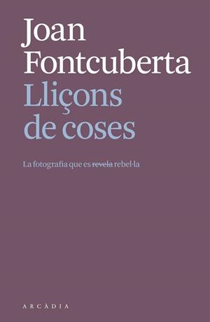 LLIÇONS DE COSES | 9788412999709 | FONTCUBERTA I VILLÀ, JOAN | Galatea Llibres | Llibreria online de Reus, Tarragona | Comprar llibres en català i castellà online
