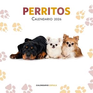 CALENDARIO PERRITOS 2026 | 9788448044893 | AA. VV. | Galatea Llibres | Llibreria online de Reus, Tarragona | Comprar llibres en català i castellà online