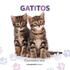 CALENDARIO GATITOS 2026 | 9788448044909 | AA. VV. | Galatea Llibres | Llibreria online de Reus, Tarragona | Comprar llibres en català i castellà online