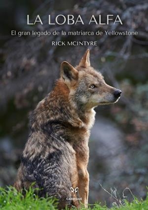 LA LOBA ALFA | 9788412949001 | MCINTYRE, RICK | Galatea Llibres | Librería online de Reus, Tarragona | Comprar libros en catalán y castellano online