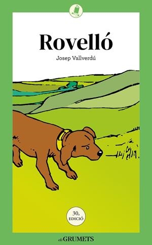 ROVELLO | 9788424676476 | VALLVERDÚ I AIXALÀ, JOSEP | Galatea Llibres | Llibreria online de Reus, Tarragona | Comprar llibres en català i castellà online