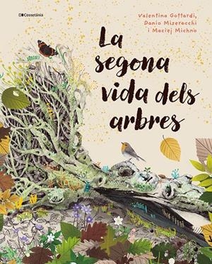 LA SEGONA VIDA DELS ARBRES | 9788413565040 | MISEROCCHI, DANIO/MICHNO, MACIEJ | Galatea Llibres | Llibreria online de Reus, Tarragona | Comprar llibres en català i castellà online