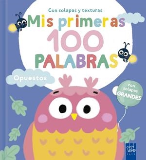MIS PRIMERAS 100 PALABRAS CON TEXTURAS. OPUESTOS | 9788408302001 | Galatea Llibres | Librería online de Reus, Tarragona | Comprar libros en catalán y castellano online