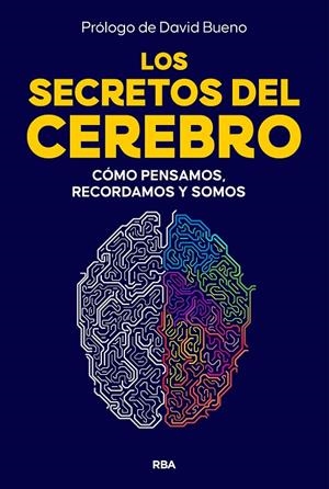 LOS SECRETOS DEL CEREBRO | 9788410981249 | Galatea Llibres | Librería online de Reus, Tarragona | Comprar libros en catalán y castellano online
