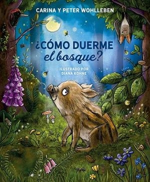 ¿CÓMO DUERME EL BOSQUE? | 9788491458364 | WOHLLEBEN, PETER/WOHLLEBEN, CARINA | Galatea Llibres | Librería online de Reus, Tarragona | Comprar libros en catalán y castellano online