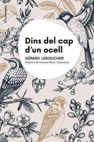 DINS DEL CAP D'UN OCELL | 9788413565163 | LEBOUCHER, GÉRARD | Galatea Llibres | Librería online de Reus, Tarragona | Comprar libros en catalán y castellano online