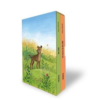 ESTOIG ROVELLÓ | 9788424676520 | VALLVERDÚ I AIXALÀ, JOSEP | Galatea Llibres | Llibreria online de Reus, Tarragona | Comprar llibres en català i castellà online