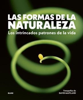 LAS FORMAS DE LA NATURALEZA | 9788410469822 | MAITLAND, DAVID | Galatea Llibres | Llibreria online de Reus, Tarragona | Comprar llibres en català i castellà online