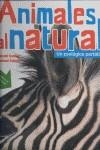 ANIMALES AL NATURAL. UN ZOOLÓGICO PORTÁTIL | 9786071605450 | TAKAOKA, MASAE | Galatea Llibres | Librería online de Reus, Tarragona | Comprar libros en catalán y castellano online