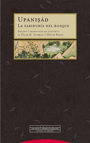 UPANISÁD | 9788413643021 | ILÁRRAZ, FÉLIX G./PUJOL, ÒSCAR | Galatea Llibres | Llibreria online de Reus, Tarragona | Comprar llibres en català i castellà online