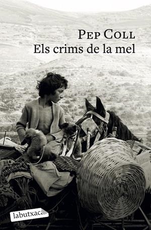 ELS CRIMS DE LA MEL | 9791387802196 | COLL, PEP | Galatea Llibres | Llibreria online de Reus, Tarragona | Comprar llibres en català i castellà online