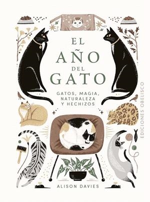 EL AÑO DEL GATO | 9788411723091 | DAVIES, ALISON | Galatea Llibres | Llibreria online de Reus, Tarragona | Comprar llibres en català i castellà online