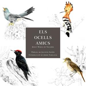 ELS OCELLS AMICS | 9788412949025 | DE SAGARRA, JOSEP MARIA | Galatea Llibres | Llibreria online de Reus, Tarragona | Comprar llibres en català i castellà online