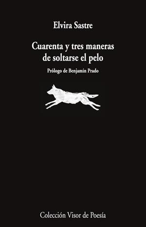CUARENTA Y TRES MANERAS DE SOLTARSE EL PELO | 9791387745868 | SASTRE, ELVIRA | Galatea Llibres | Librería online de Reus, Tarragona | Comprar libros en catalán y castellano online