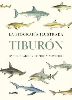 TIBURÓN. LA BIOGRAFIA ILUSTRADA | 9788410469853 | ABEL, DANIEL C./MAYCOCK, SOPHIE A. | Galatea Llibres | Llibreria online de Reus, Tarragona | Comprar llibres en català i castellà online