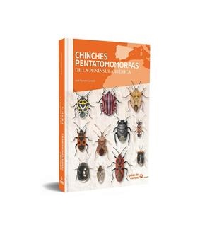 CHINCHES PENTATOMOMORFAS DE LA PENÍNSULA IBÉRICA | 9788416728824 | CASTELLÓ, JOSÉ RAMÓN | Galatea Llibres | Llibreria online de Reus, Tarragona | Comprar llibres en català i castellà online