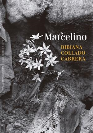 MARCELINO | 9788410476431 | COLLADO CABRERA, BIBIANA | Galatea Llibres | Librería online de Reus, Tarragona | Comprar libros en catalán y castellano online