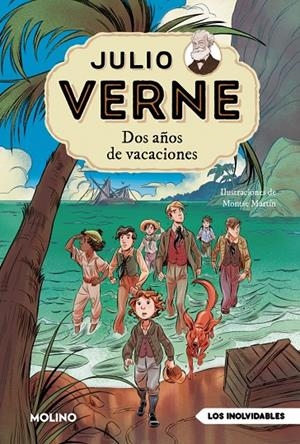 DOS AÑOS DE VACACIONES (EDICIÓN ACTUALIZADA, ILUSTRADA Y ADAPTADA) | 9788427246065 | VERNE, JULIO | Galatea Llibres | Llibreria online de Reus, Tarragona | Comprar llibres en català i castellà online