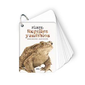 FÍJATE: REPTILES Y ANFIBIOS | 9788410407596 | SANJUAN LLORENS, ANNA/NOGUÉS, ALEX | Galatea Llibres | Llibreria online de Reus, Tarragona | Comprar llibres en català i castellà online