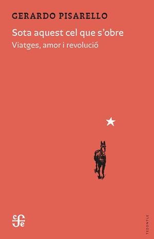 SOTA AQUEST CEL QUE S'OBRE | 9788437508580 | PISARELLO PRADOS, GERARDO | Galatea Llibres | Llibreria online de Reus, Tarragona | Comprar llibres en català i castellà online