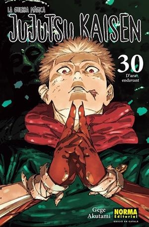 JUJUTSU KAISEN 30 CAT | 9788467976281 | AKUTAMI, GEGE | Galatea Llibres | Llibreria online de Reus, Tarragona | Comprar llibres en català i castellà online