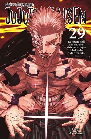 JUJUTSU KAISEN 29 | 9788467975826 | AKUTAMI, GEGE | Galatea Llibres | Llibreria online de Reus, Tarragona | Comprar llibres en català i castellà online