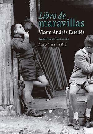 LIBRO DE MARAVILLAS | 9788410476509 | ESTELLES, VICENT ANDRES | Galatea Llibres | Llibreria online de Reus, Tarragona | Comprar llibres en català i castellà online