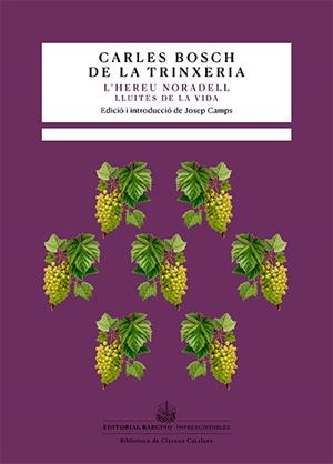 L'HEREU NORADELL | 9788416726615 | BOSCH DE LA TRINXERIA, CARLES | Galatea Llibres | Llibreria online de Reus, Tarragona | Comprar llibres en català i castellà online