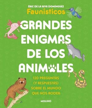 GRANDES ENIGMAS DE LOS ANIMALES | 9788427253698 | DE LA RIVA DOMÍNGUEZ, ÉRIC | Galatea Llibres | Llibreria online de Reus, Tarragona | Comprar llibres en català i castellà online