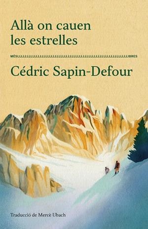 ALLÀ ON CAUEN LES ESTRELLES | 9788417353711 | SAPIN-DEFOUR, CEDRIC | Galatea Llibres | Llibreria online de Reus, Tarragona | Comprar llibres en català i castellà online