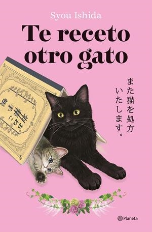 TE RECETO OTRO GATO | 9788408318705 | ISHIDA, SYOU | Galatea Llibres | Librería online de Reus, Tarragona | Comprar libros en catalán y castellano online