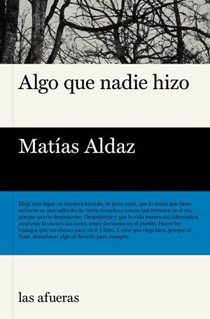 ALGO QUE NADIE HIZO | 9791399131116 | ALDAZ, MATÍAS | Galatea Llibres | Llibreria online de Reus, Tarragona | Comprar llibres en català i castellà online